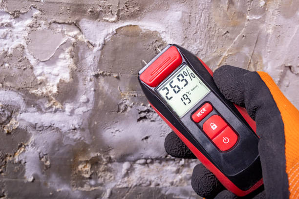 Best Industrial Mold Remediation in Juniper Canyon, OR